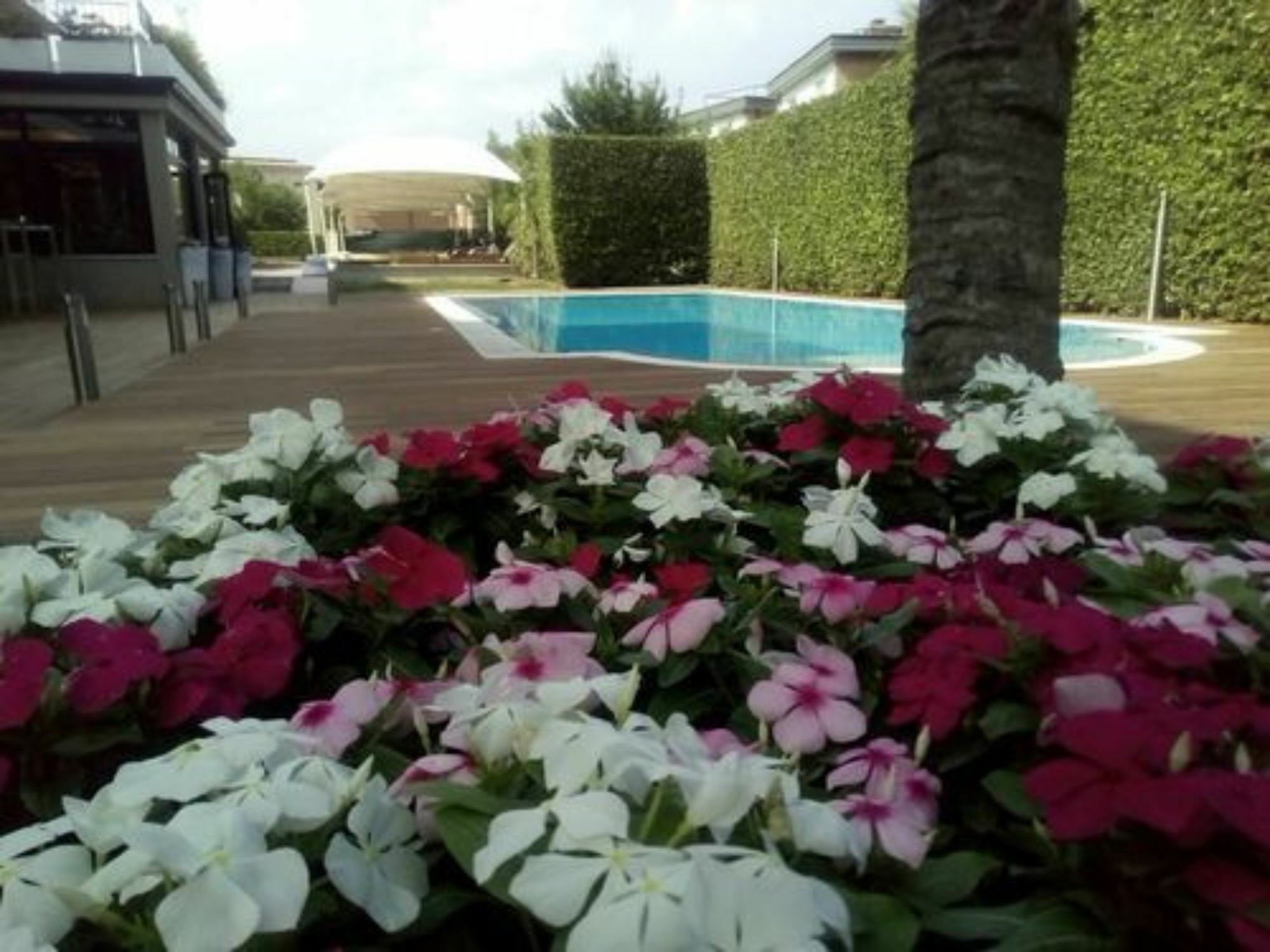 Hotel Palazzo Del Garda & Spa デセンツァーノ・デル・ガルダ エクステリア 写真